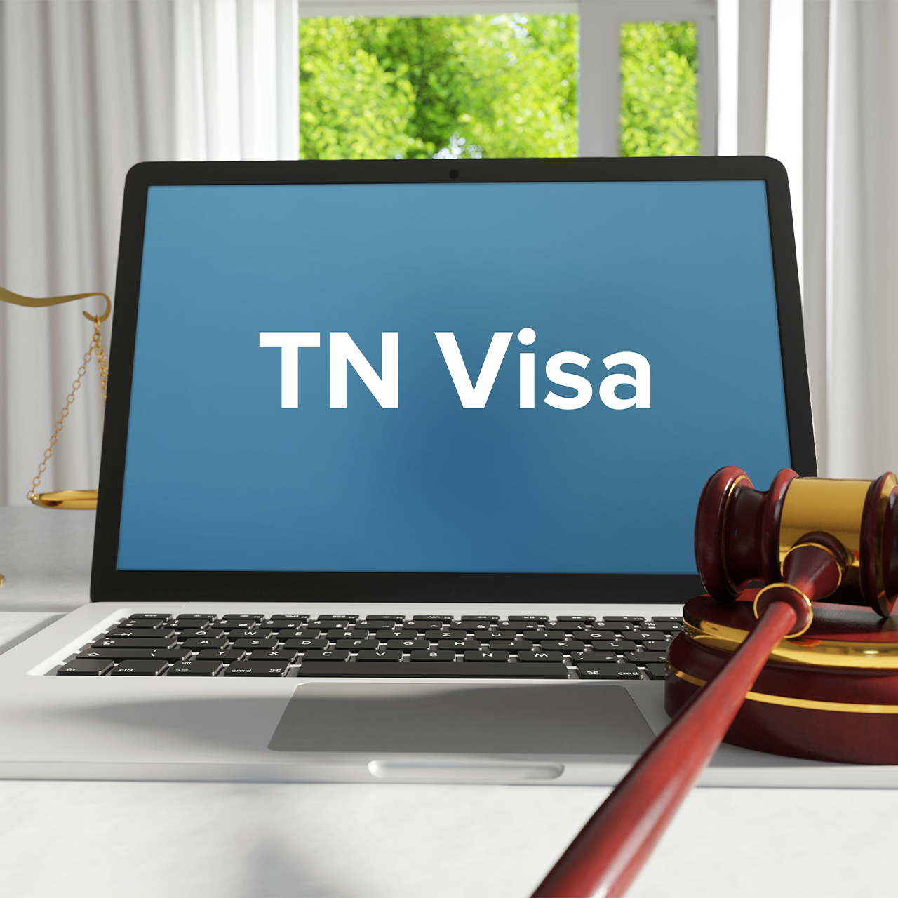 Can Tn Visa Holder Dependent Work In Usa