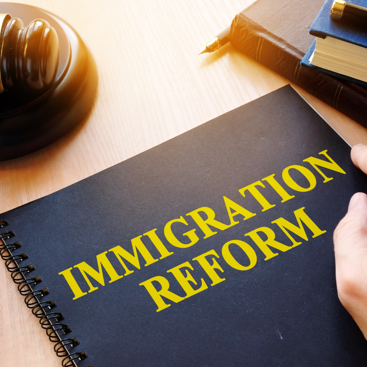 What Is Immigration Reform Cohen Tucker Ades what-is-immigration-reform-cohen-tucker-ades